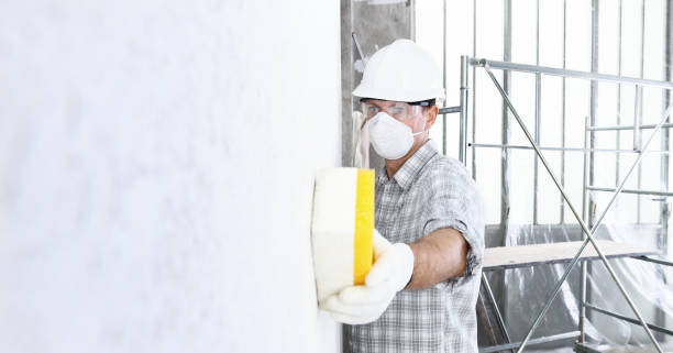 Best Industrial Mold Remediation in USA